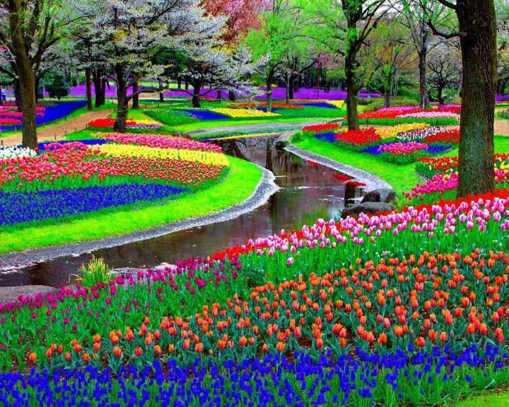 Illustration. Park Keukenhof near Amsterdam. Source imgur.com. 2016-04-30